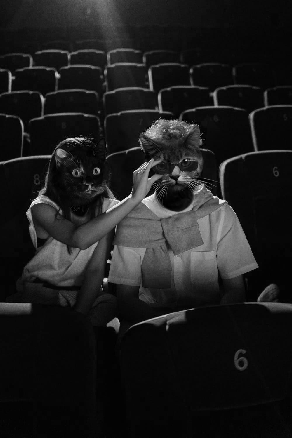 Cinema dudes cat photo manipulation