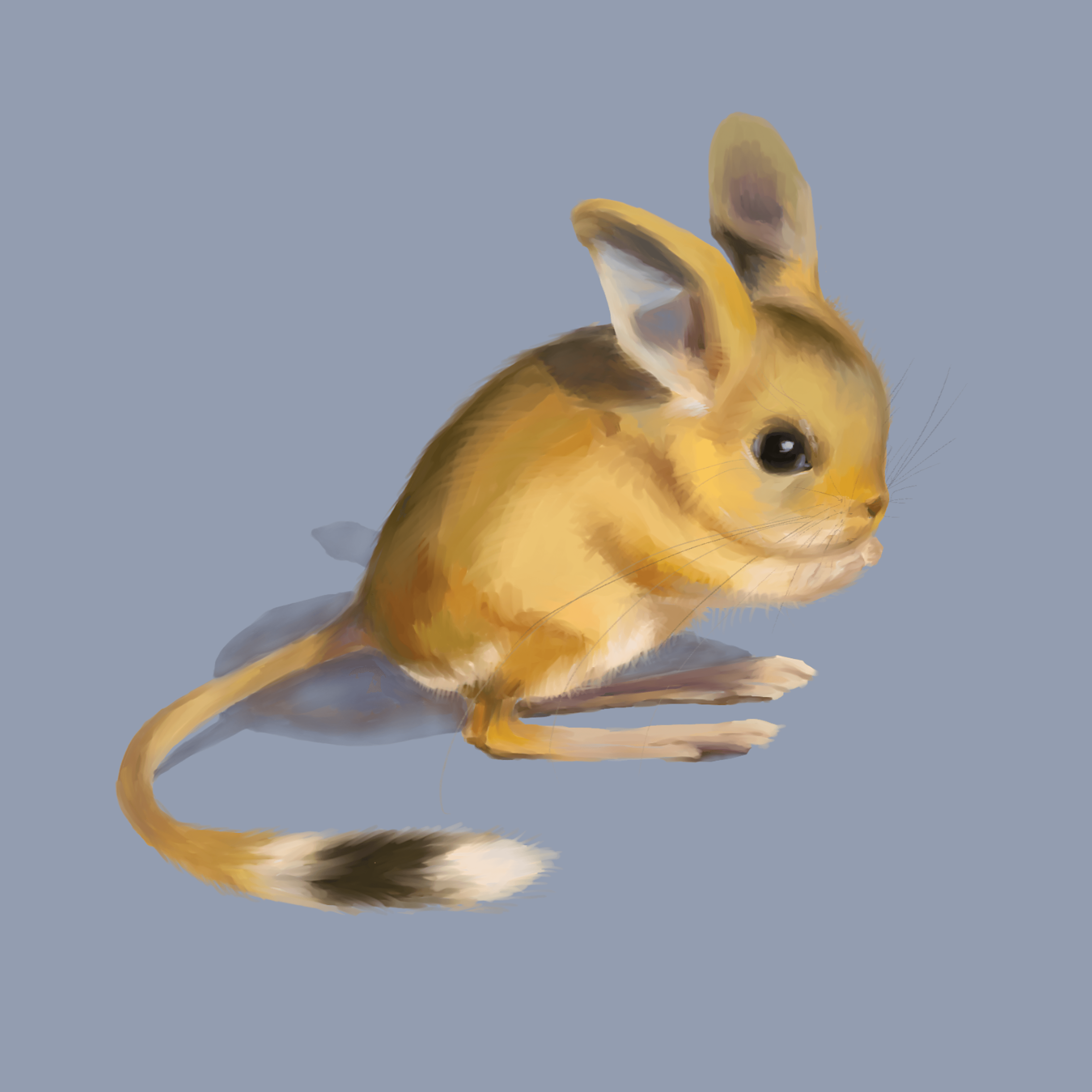 Jerboa digital painting illustration